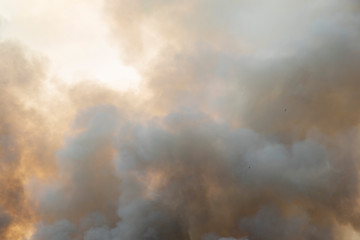smoke pattern background of fire burn in grass fields