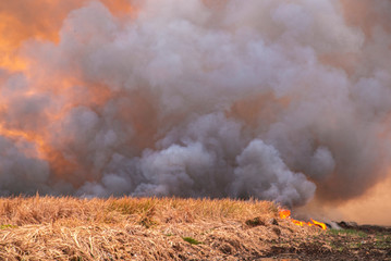 smoke pattern background of fire burn in grass fields