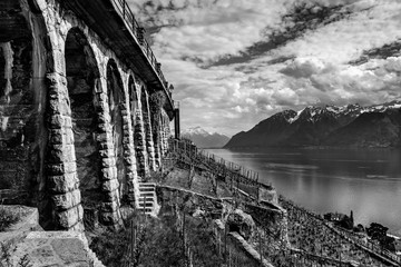 Lavaux Suisse 