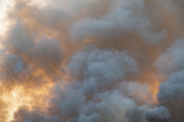 smoke pattern background of fire burn in grass fields