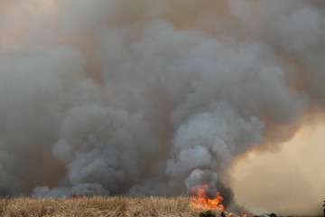 smoke pattern background of fire burn in grass fields