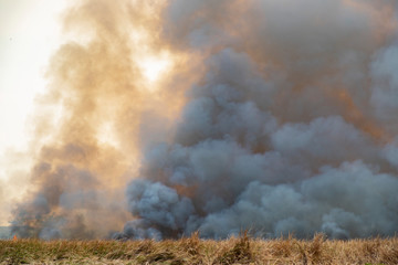 smoke pattern background of fire burn in grass fields