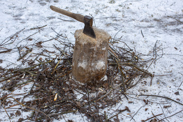 Fototapeta premium an ax for splitting firewood is stuck in a stump