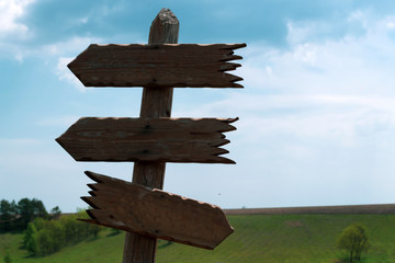 A tree pointer against the sky