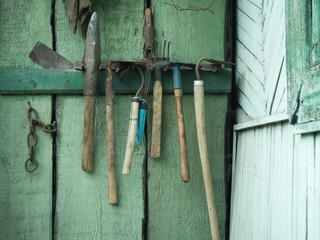 old tools for working in the garden and vegetable garden hang on an old wooden wall of green color. tools have traces of time and labor, do not look new. garden work life style