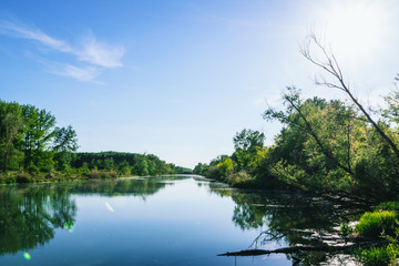 Spring walk in floodplain forests