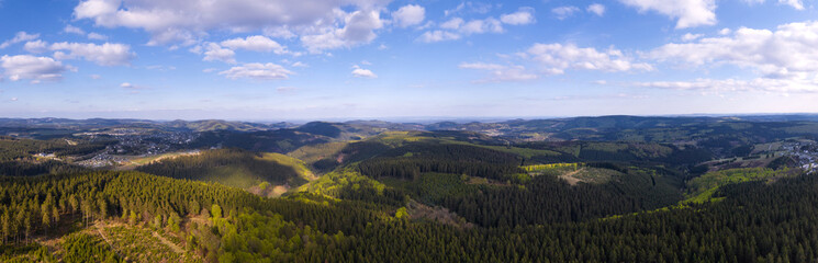 evening forest landscape from above high definition panorama