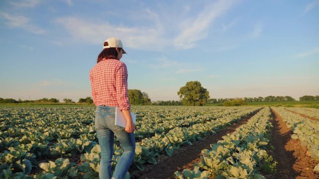 Woman farmer walking through a cabbage field with a tablet in hand