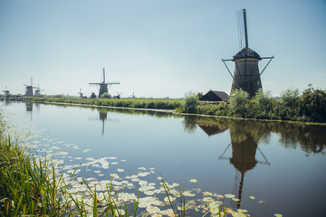 Summer scene in the famous Kinderdijk canal with windmills