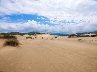 Fototapeta na wymiar Dunes of Piscinas, the largest natural beach in Europe, Arbus, Sardinia, Italy