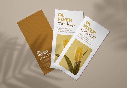 Realistic DL Flyer Mockup