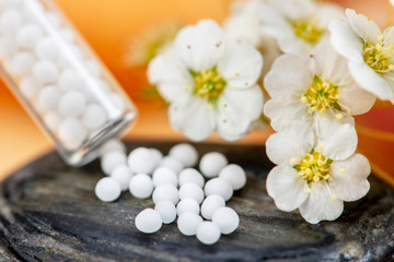 Fototapeta na wymiar alternative and natural medicine with herbal pills