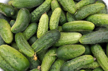 Background from harvested cucumbers