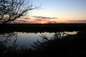 Reflection of trees in the water during sunset