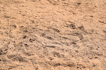 dirty sand with trace marks, uneven texture, sand background