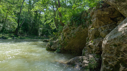 River in the forest. Imereti region. Georgia country