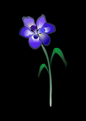 Blue flower with a green stem, on a white background
