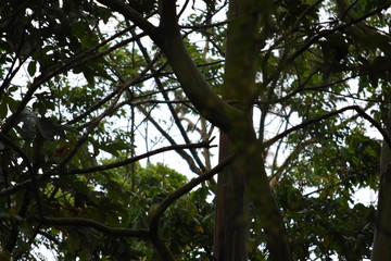 naturaleza