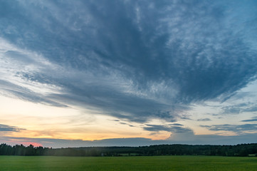 Sunset on the green field