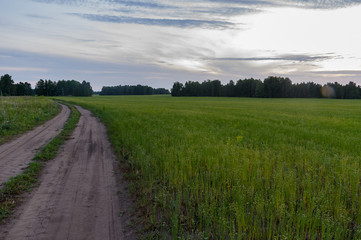 Sunset on the green field