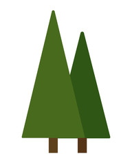 Green conifer tree vector icon isolated on white background.