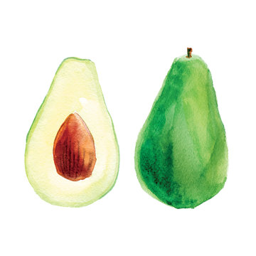 Watercolor avocado on white background. Half avocado with seed.