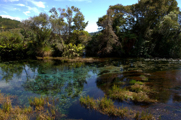 Te Waikoropupu Springs,also known as Pupu Springs in Golden Bay, New Zealand