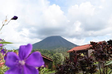 volcan y flores