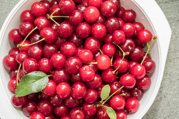 Fresh picked harvested sour cherries in a white bowl on a kitchen table.