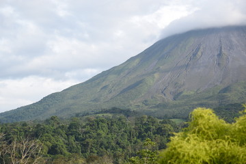 naturaleza flores y volcan