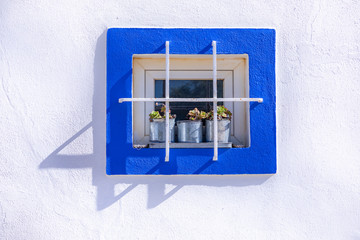 window with cacti and white painted wall with blue frame