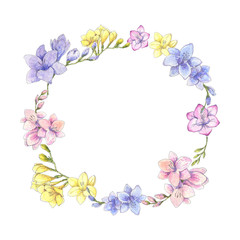 Fototapeta na wymiar Freesia blossom circle frame, multicolored wreath hand drawn in watercolor. Spring, summer floral design element for birthday, wedding, greeting cards, banners design. Blue, pink and yellow flowers.