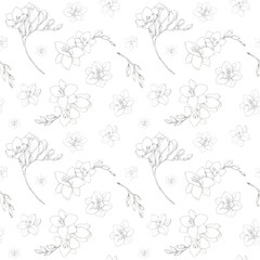 Fototapeta na wymiar Freesia flowers seamless pattern hand drawn in pen ink contour. Spring, summer delicate floral background for wallpaper, gift wrapping paper, textile, wedding, fashion design. 