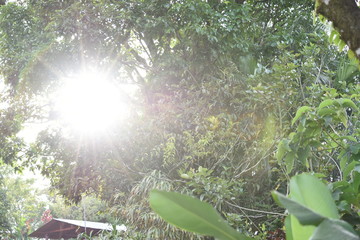 naturaleza