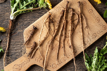 Closeup of fresh dandelion roots