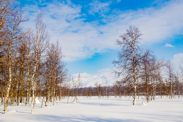 Fototapeta na wymiar Winter hike in the Ural mountains. The beauty of the mountains.