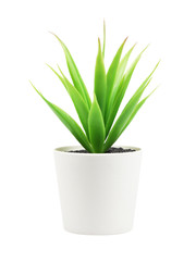 Artificial agave plant in a pot isolated on white background