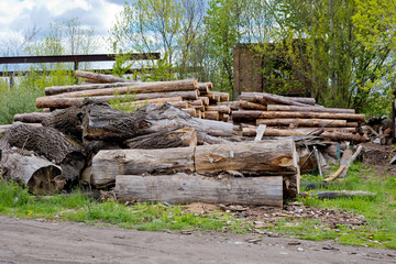  A pile of logs at a woodworking factory.