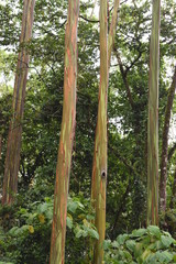 naturaleza