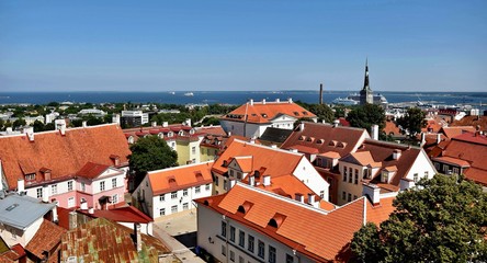 Fototapeta na wymiar View of the old city. Tiled roofs. Tallinn. Estonia.