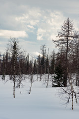 Winter hike in the Ural mountains. The beauty of the mountains.
