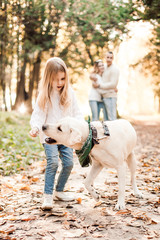 Fototapeta premium Little beautiful girl with dog labrador outside her parents.