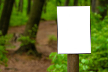 A white sign or label on stick on path in green spring or summer forest. Notification or direction of movement, information for tourists or people on vacation in nature. Juicy fresh greens around