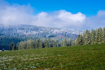 Germany, Perfect untouched nature landscape of white snow covered tree tops in endless black forest woodland scenery in winter season