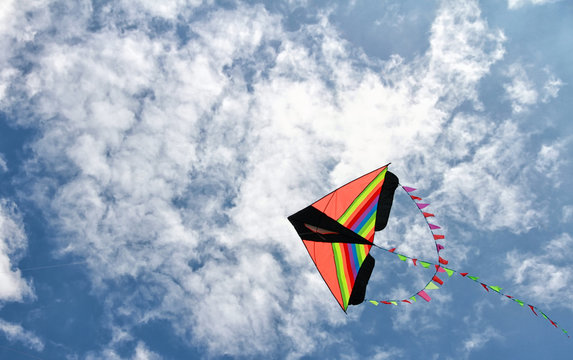 Kite floating in the sky