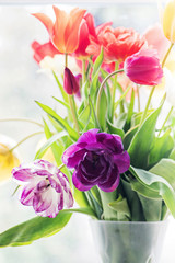 Multicolored tulips in a vase, window on the background
