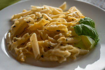 Macarrones al pesto en plato blanco.
