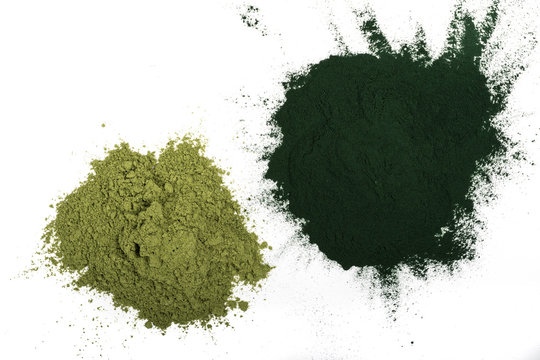 An isolated tablespoon of dried organic wheat grass and spirulina powder, on white rustic background