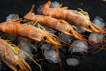 four pieces of shrimp on ice chunks on a black background