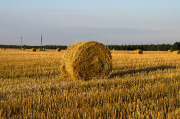 a haystack in a wheat field at sunset